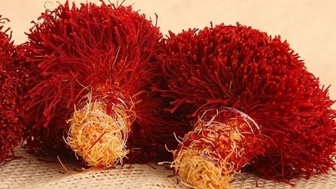 زعفران دختر پیچ عمده + انتخابی مطمئن برای کسب‌ و کار